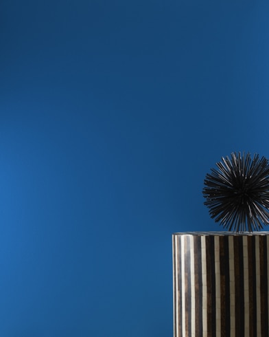 Mur peint en Bleu Patriote 2064-20