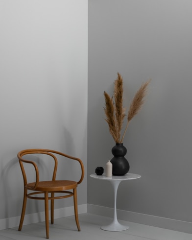 Painted wall with Arctic Gray 1577