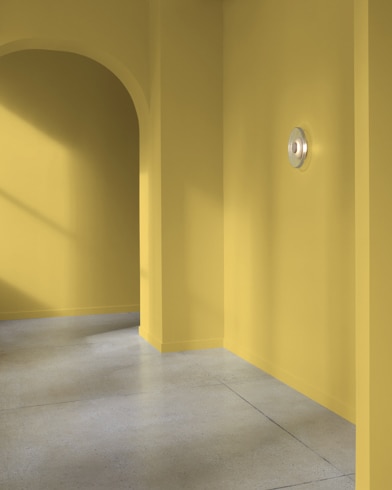 Mur peint en Vert Savane 2150-30