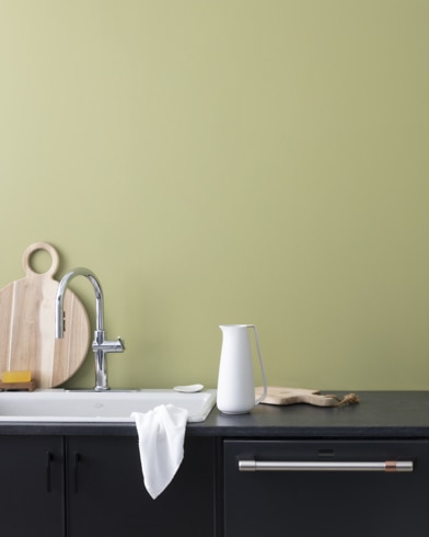 Painted wall with Brookside Moss 2145-30