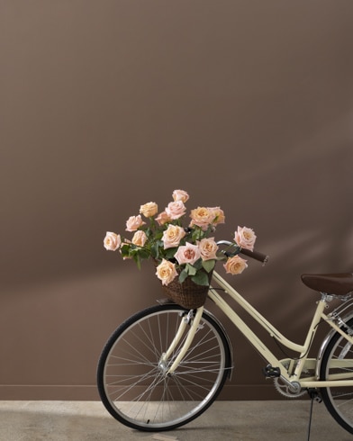 Painted wall with Rockies Brown 2107-30