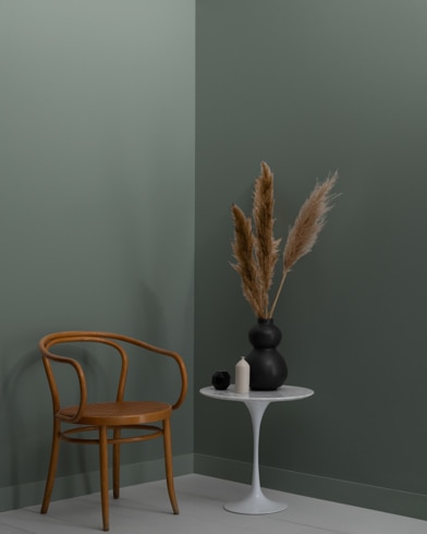 Painted wall with Millstone Gray 1581
