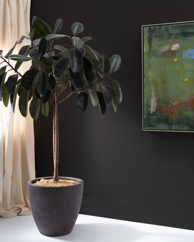 Painted wall with Onyx 2133-10
