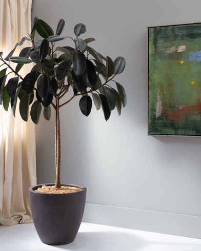 Painted wall with Sidewalk Gray 2130-10
