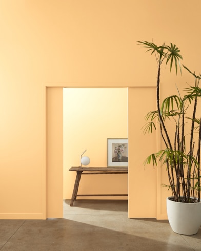 Painted wall with Peach Crisp 159