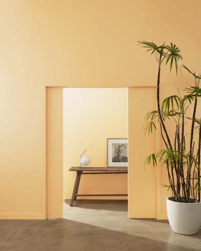 Painted wall with Roasted Sesame Seed 2160-40