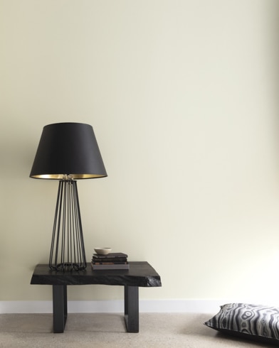 Painted wall with Polar Frost 1506
