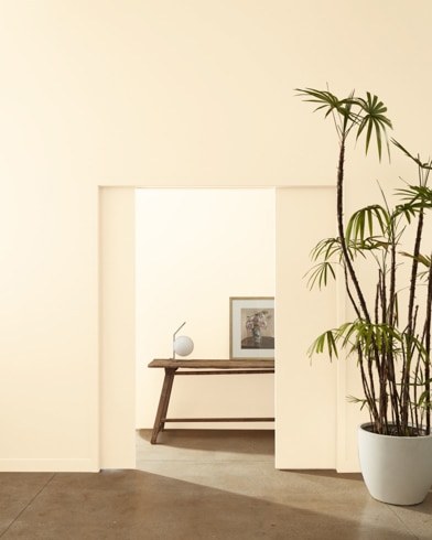 Mur peint en Grain du Kansas 2160-60